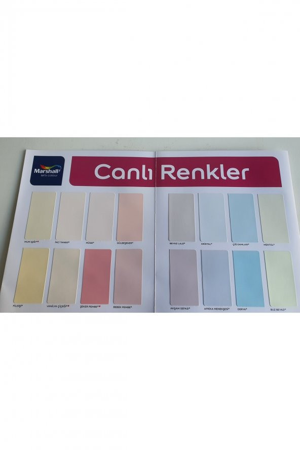 bkp Marshall Silikonlu Fit Boya - Resim 2