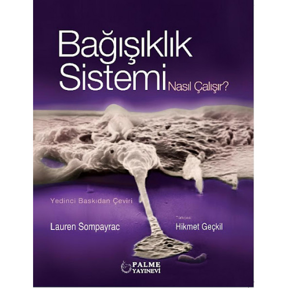 Palme Yayınevi Bağışıklık Sistemi Nasıl Çalışır ? ürün görseli 1