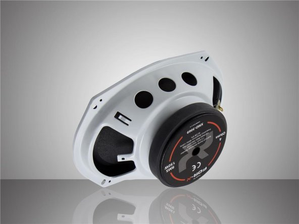 FOR-X XMD-3069 YENİ SERİ PROFSYONEL OVAL MİDRANGE 200W 100 RMS - Resim 3