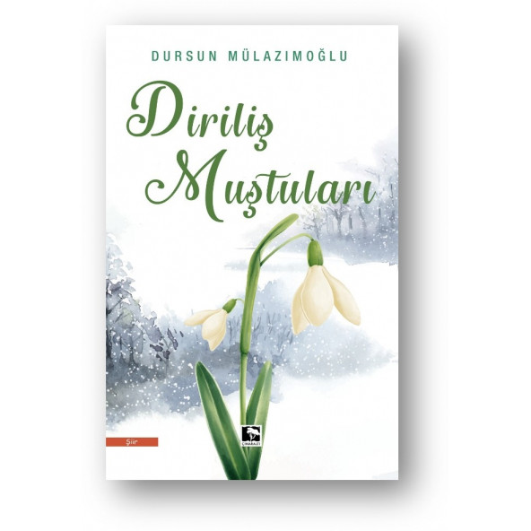 DİRİLİŞ MUŞTULARI ürün görseli 1