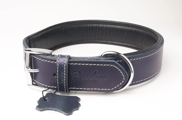 Privilege Hakiki Yağlı Deri Köpek Boyun Tasması XS Lacivert 2x29-37 cm ürün görseli 1