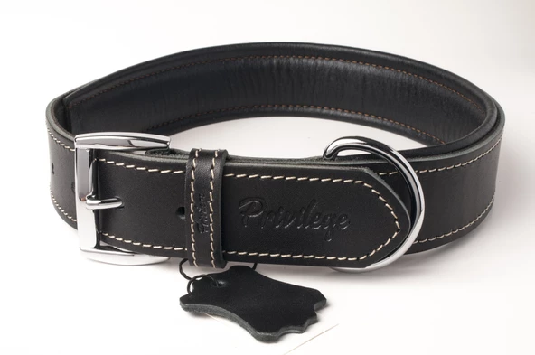 Privilege Hakiki Deri Köpek Boyun Tasması XL Siyah 4x54-64 cm ürün görseli 1