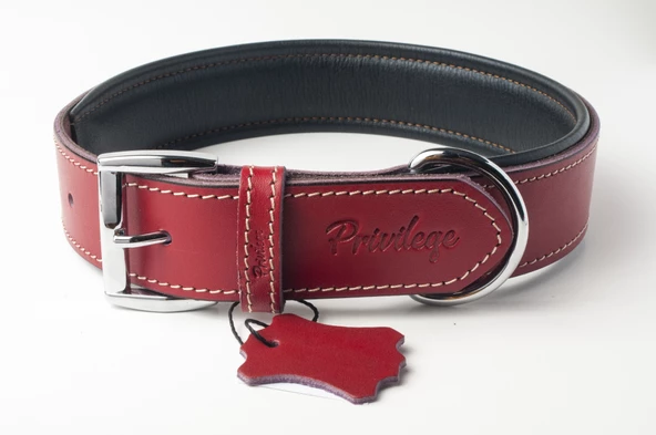 Privilege Hakiki Deri Köpek Boyun Tasması XL Kırmızı 4x54-64 cm ürün görseli 1