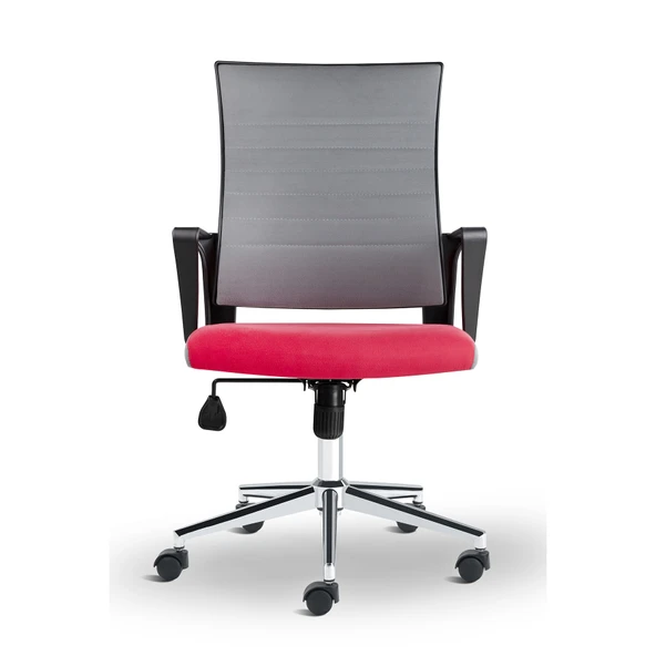 Asbir Mobilya Rigel 55100 Metal Ayaklı Çalışma Koltuğu Ofis Sandalyesi ürün görseli 1