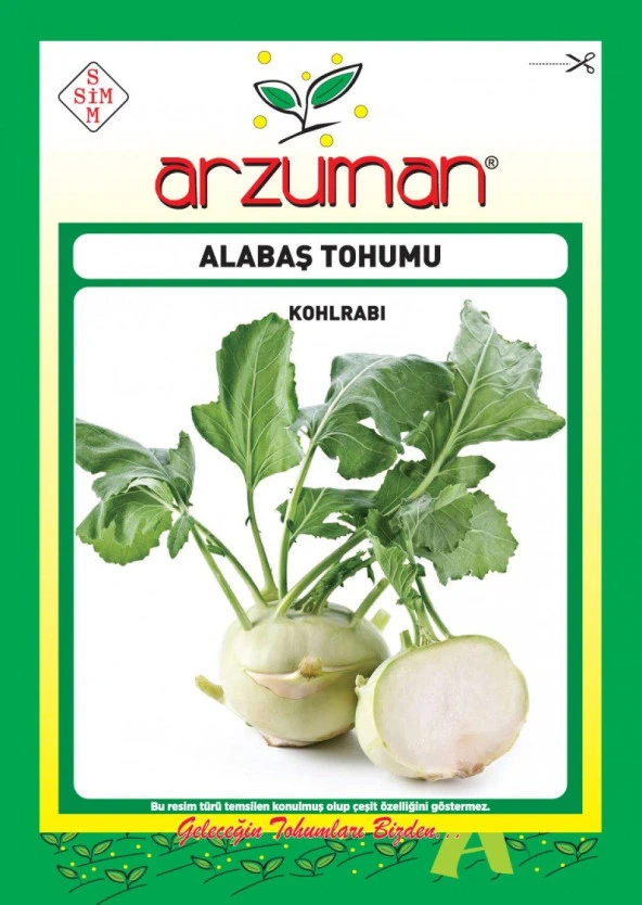 BEYAZ ALABAŞ TOHUMU 200 ADET TOHUM ürün görseli 1