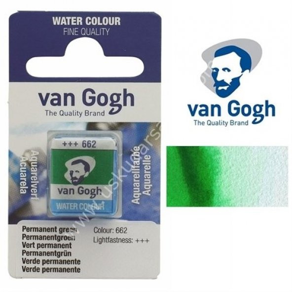 Talens Van Gogh Tablet Suluboya 1/2 Permanent Green - 662 ürün görseli 1
