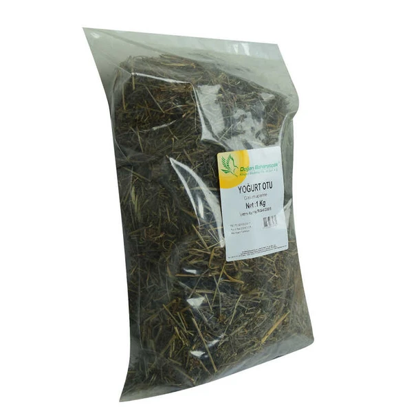Yoğurt Otu 1000 Gr Paket - Resim 3