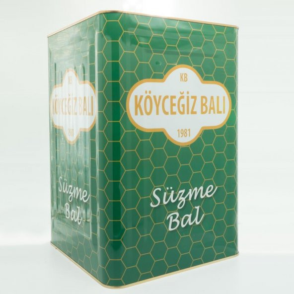Kb Köyceğiz Balı Çam Balı 26,50 Kg Teneke - Resim 3