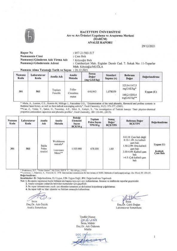 Kb Köyceğiz Balı Çam Balı 26,50 Kg Teneke - Resim 6