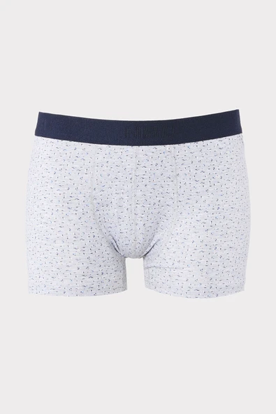 Gri Çizgi Desen Boxer ürün görseli 1