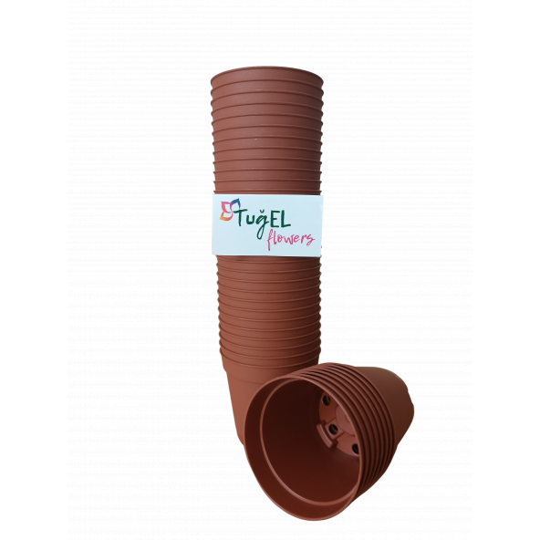 TUĞEL FLOWERS 50 ADET KAKTÜS&SUKULENT ÜRETİM SAKSISI 1.KALİTE (MİNİ BOY-5.5 CM) ürün görseli 1