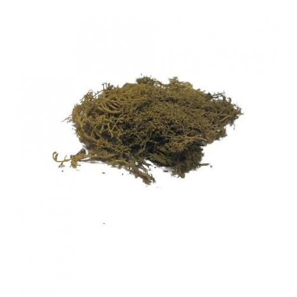 JORDANIA YOSUN 1013 ACIK YESIL 10gr JE00-0501013 ürün görseli 1