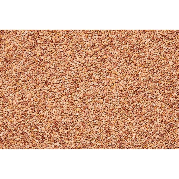 Çiğ Susam 500 Gr ürün görseli 1