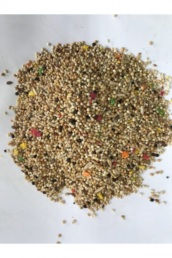 Karışık Muhabbet Kuşu Yemi (1kg) ürün görseli 1
