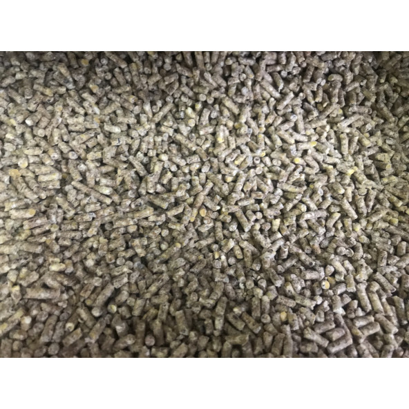 Yumurta Yemi- Pelet - 25 Kg - Resim 3