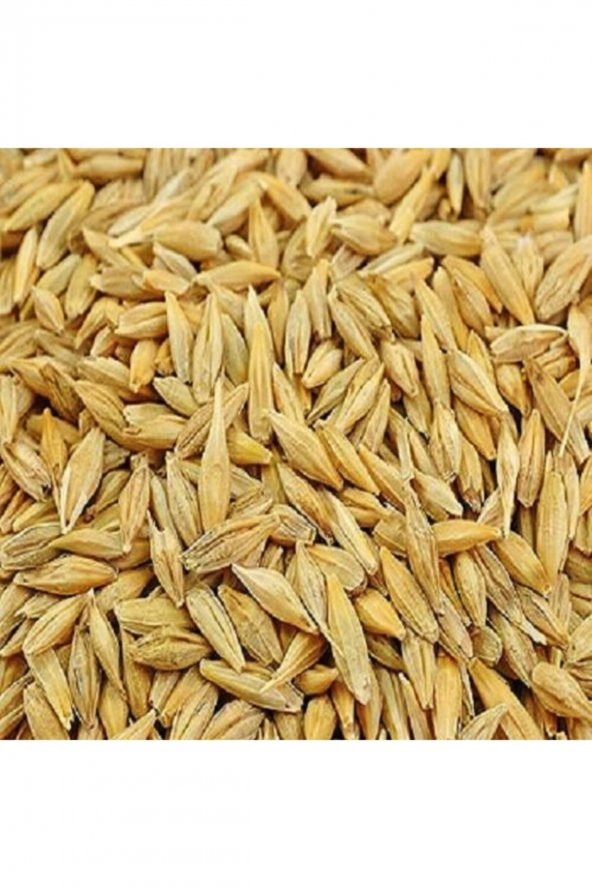 Arpa (yemlik) 10kg ÖZEL LAMİNELİ ÇANTASINDA ürün görseli 1
