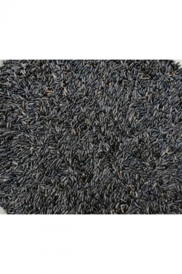 1 Kg Kızıştırıcı Konuşturucu Nijer Yem - Kuş Yemi ürün görseli 1