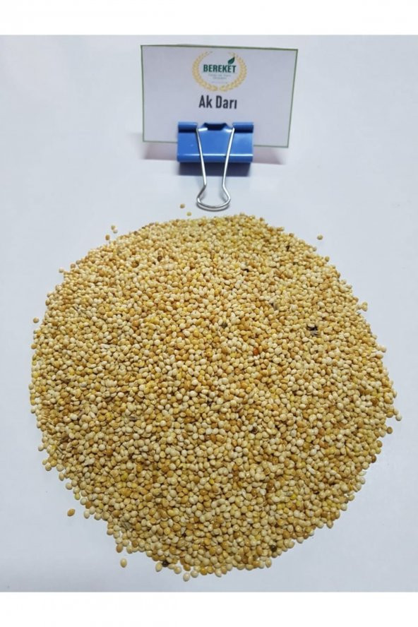 Ak Darı- Muhabbet Kuşu Yemi- 1 Kilogram ürün görseli 1