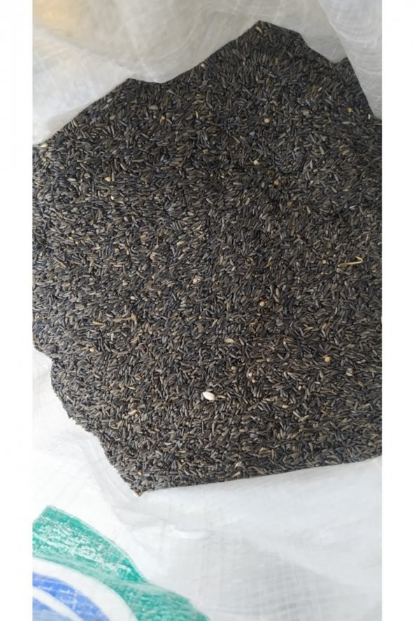 Nijer Kuş Yemi 1 kg ürün görseli 1