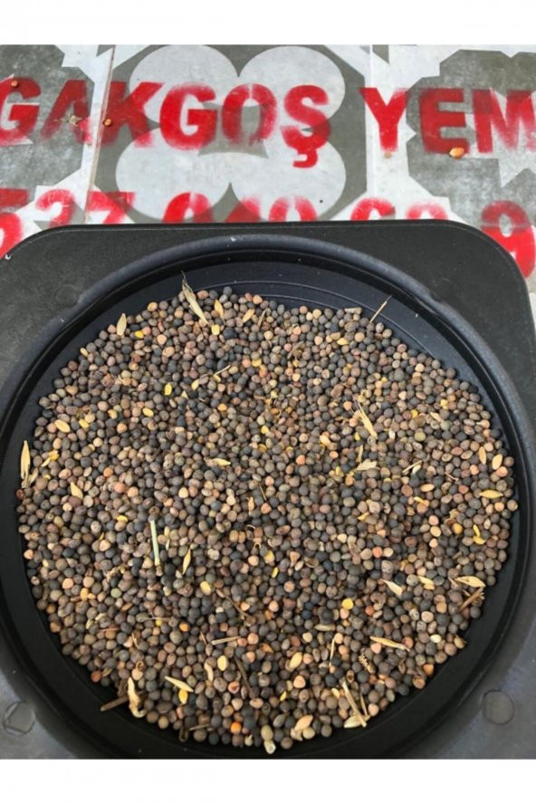 Kuş Yemi Fii 1 Kg ürün görseli 1