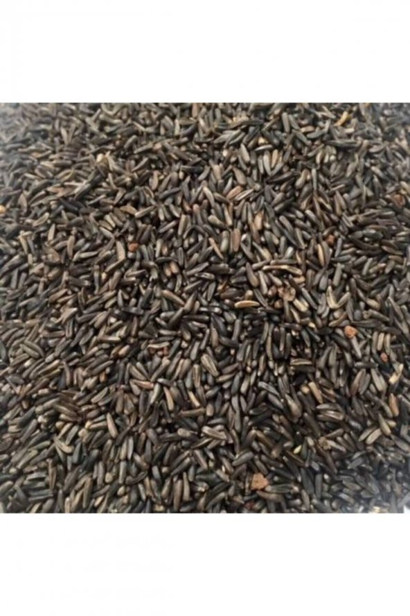 Bird Nijer Kuş Yemi Doğal Kızıştırıcı (500 Gr) ürün görseli 1