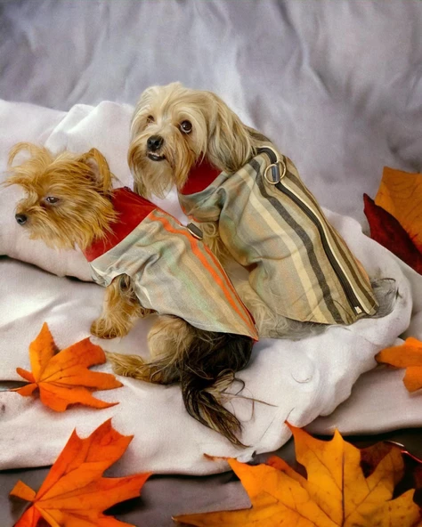 Stripe Orange Su itici Köpek Yağmurluğu ürün görseli 1