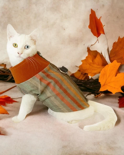 Stripe Orange Su itici Kedi Yağmurluğu ürün görseli 1
