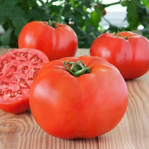 5 Adet Beef İri Domates Fidesi ürün görseli 1