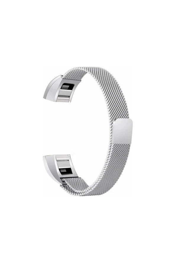Fitbit Alta Mıknatıslı Kayış Kordon - Gümüş ürün görseli 1
