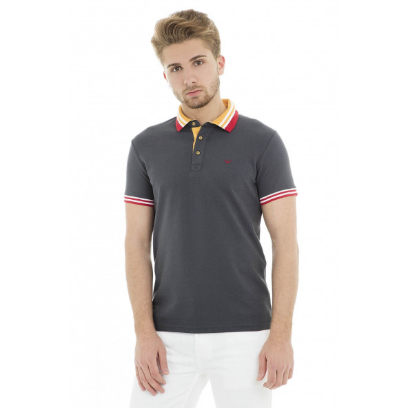 Cazador Polo Erkek T Shirt CDR4296 ANTRASİT ürün görseli 1
