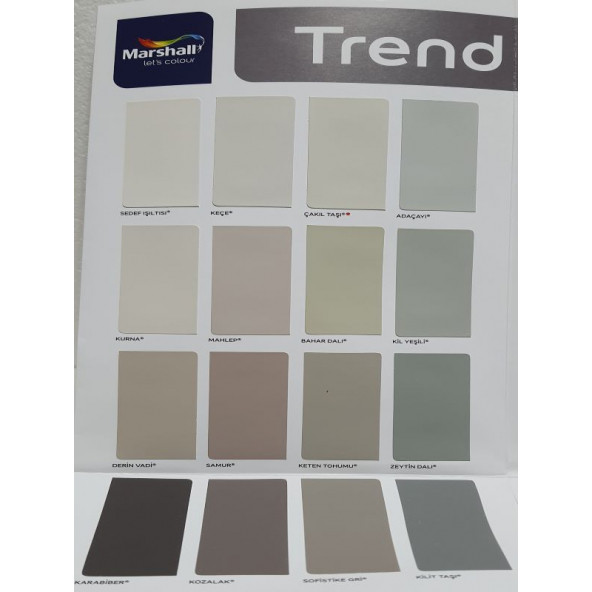 Marshall Silikonlu Özel Mat Boya 2,5LT - Resim 6