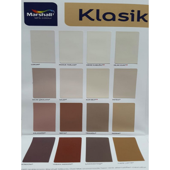 Marshall Silikonlu Özel Mat Boya 1 LT - Resim 2