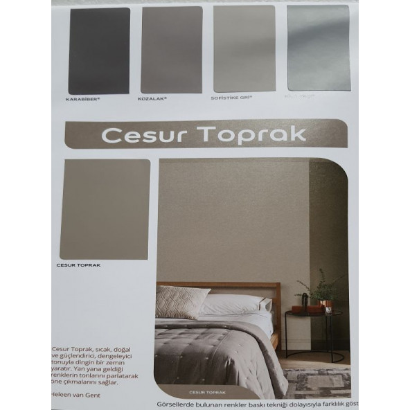 Marshall Silikonlu Özel Mat Boya 1 LT - Resim 9
