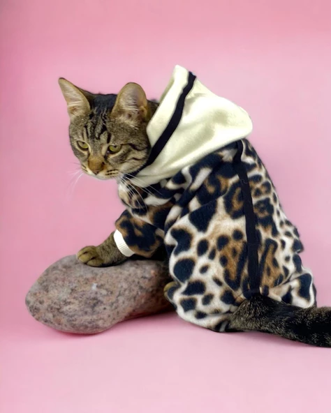 Leo Chiquee Polar Kapşonlu Duo Kedi Tulumu Kıyafeti ürün görseli 1
