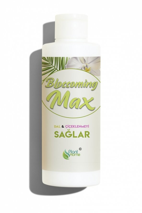 Blossoming Max Dal Ve Çiçeklenmeyi Sağlayan Güçlü Besin 100 Ml ürün görseli 1