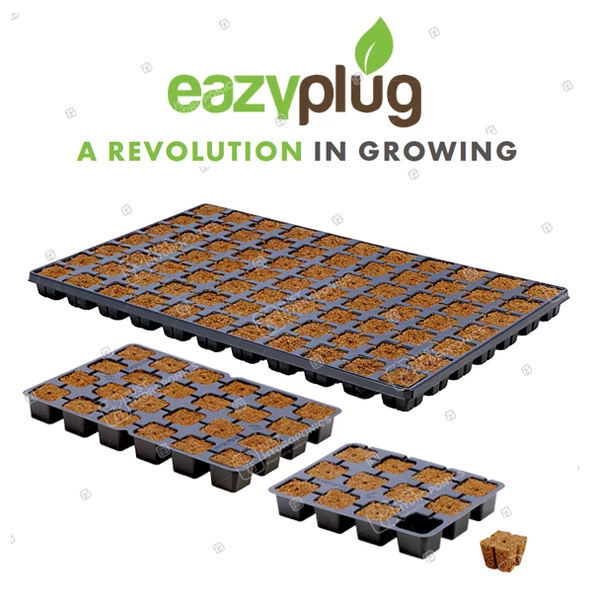 Eazy Plug Tohum Ekim Viyolü 3.5x3.5x3 cm 12 göz ürün görseli 1