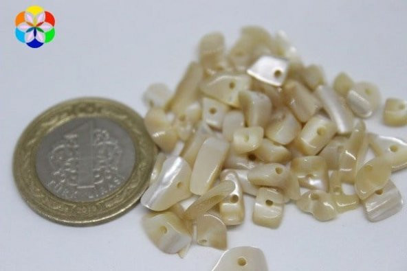 Delikli Sedef Taşı Karamel Mini Boy 50 adet ürün görseli 1