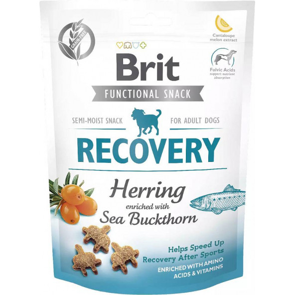 Brit Recovery Ringa Balıklı Köpek Ödülü 150 Gr ürün görseli 1