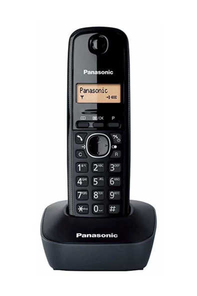 Panasonic KX-TG1611 Dect Telefon ürün görseli 1