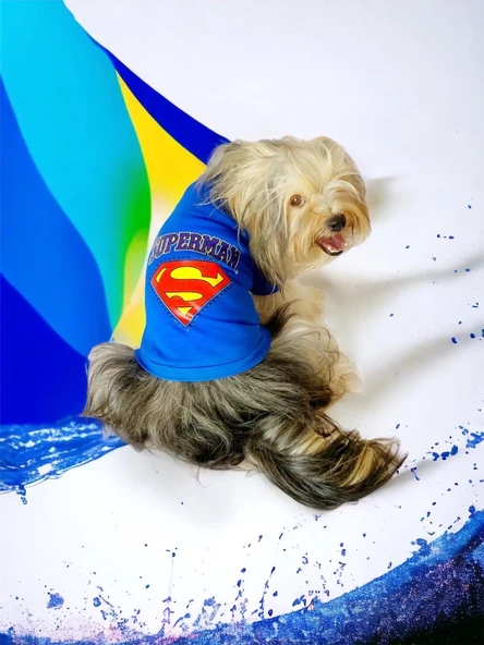 Superman Köpek Tişört Köpek Kıyafeti ürün görseli 1