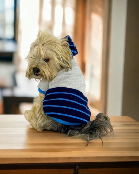 Blue Line Kapşonlu Sweatshirt Köpek Kıyafeti Köpek Elbisesi ürün görseli 1