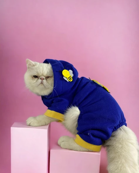 Navy Bee Kedi Tulumu Kedi Kıyafeti ürün görseli 1