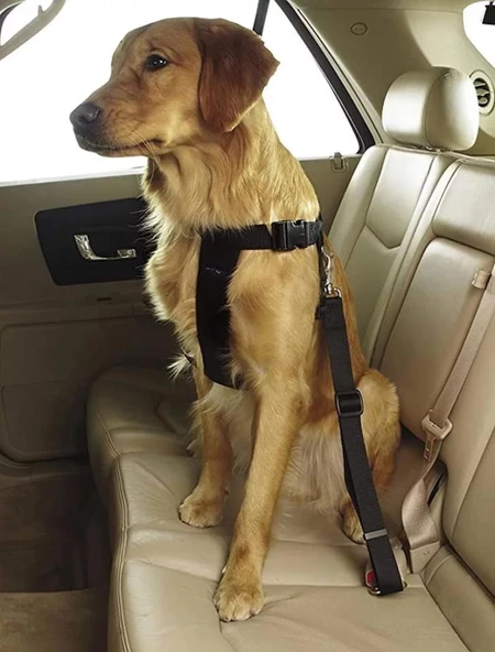 TİNEKE Evcil Hayvan Araç Emniyet Kemeri Kedi Köpek Araba Oto Tasması Oto Aksesuarları SİYAH ürün görseli 1