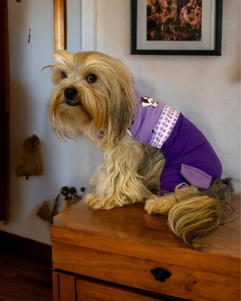 Chique Purple Duo Panda Tulum Köpek Kıyafeti ürün görseli 1