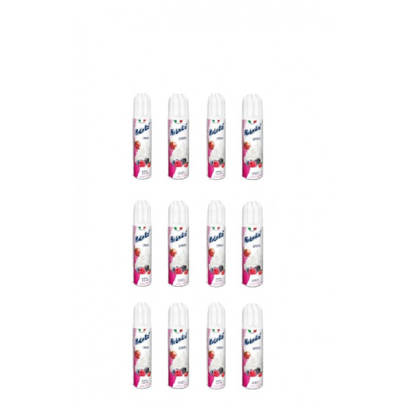 HULALA SPRAY KREM ŞANTİ 250 ML x 12 ( Koli) ürün görseli 1