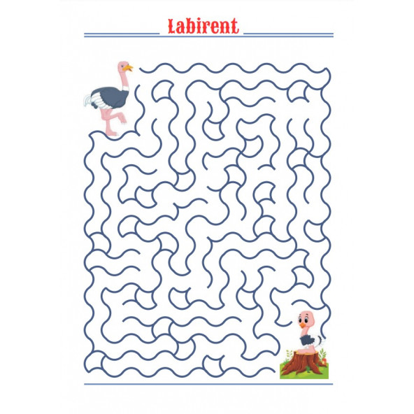 Süper Labirent Kitap Seti (2 Labirent Kitabı) - Resim 2