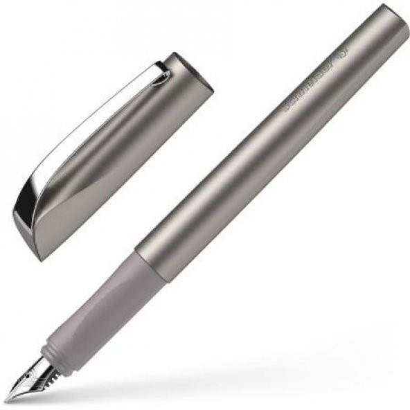 SCHNEIDER DOLMAKALEM CEOD SHINY GRAPHITE ürün görseli 1