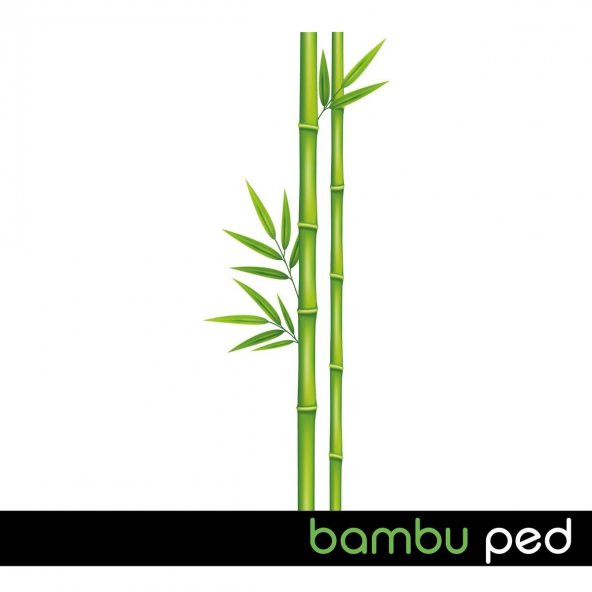 Ladyfit Bambu Uzun Ped 20x3 60 Adet - Resim 3