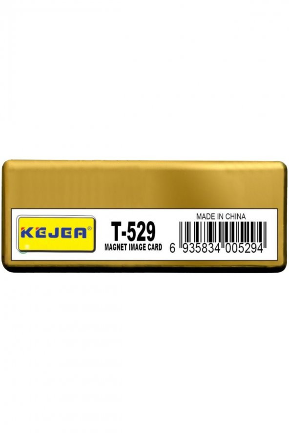 Sarff Mıknatıslı Metal Isimlik Gümüş T-529 ürün görseli 1