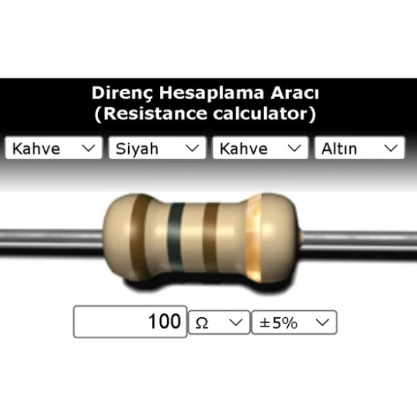 OEM 100 R (Ohm) Direnç ürün görseli 1